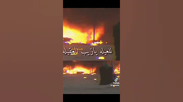 حالات واتس استشهاد السيده زينب عليها السلام زينب 
