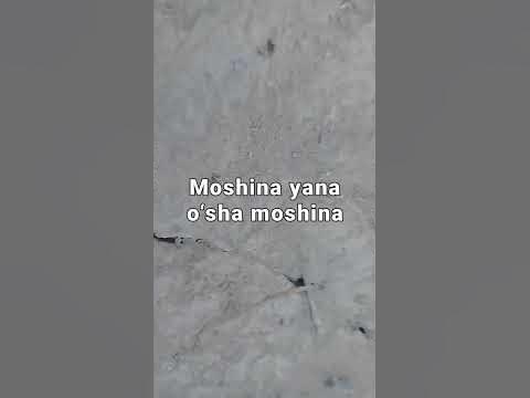 Moshina - YouTube