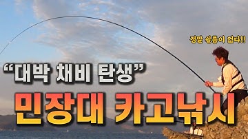 대박!! 조과 l 쉴틈도 없는 민장대 카고 낚시 ㅣ 새로운 장르에 도전  [박과장TV]