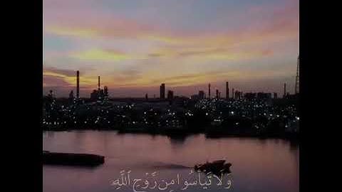 تلاوه خاشعه | بصوت القارئ خالد الجليل | حالات واتس اب دينيه♥♥.
