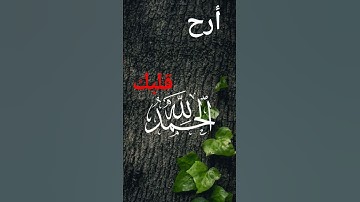 #حالات_واتس #تلاوة_مؤثرة #تلاوة_خاشعة #إسلام_صبحي  #صوت_يريح_القلب #قرآن #صلوا_علي_النبي#تلاوة