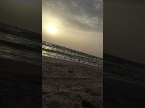 ولكن ياتديمي صوت ديمي