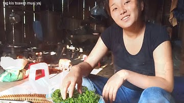 Tag kis no ua ntsuag xyoob thuab kau suab noj tshai