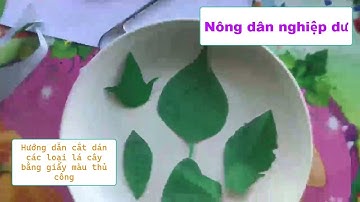 Nông dân nghiệp dư  | Hướng dẫn cắt dán các loại lá cây bằng giấy màu thủ công