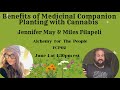 Alchemy for the people episode 19 benefits of medicinal companion planting with cannabis
