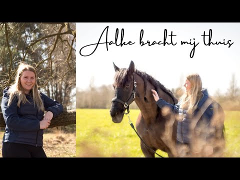 Video: Veiligheidsdeken Voor Huisdieren