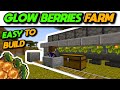 EASIEST Automatic AFK Glow Berries Farm Tutorial (Java &amp; Bedrock) - Minecraft 1.20