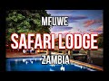 Full walkthrough mfuwe lodge of bushcamp company