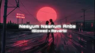Neeyum Naanum Anbe - Slowed Reverb