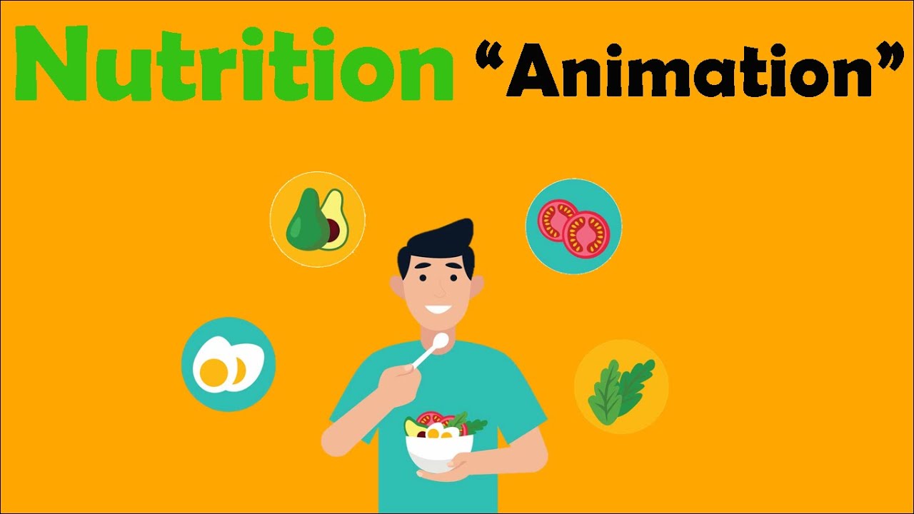 NUTRITION | Biology Animation - YouTube