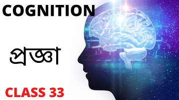 CTET/WBTET PRIMARY/UPPER PRIMARY CDP SERIES COGNITION