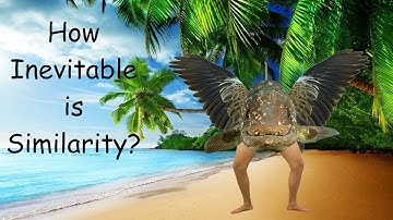 How Inevitable is Similarity: Evolutionary Determinism vs Historical Contingency