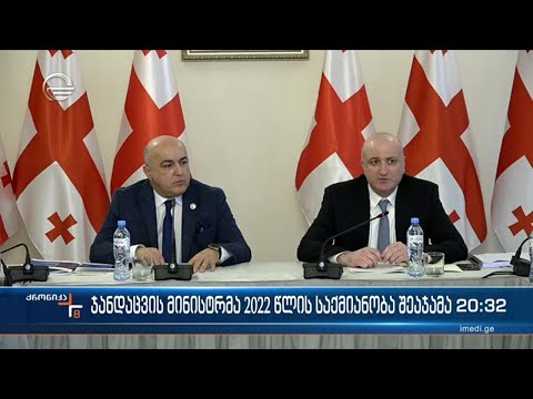 ჯანდაცვის მინისტრმა 2022 წლის საქმიანობა შეაჯამა