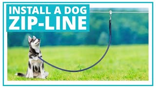 Install a Dog Zip-line Tie out