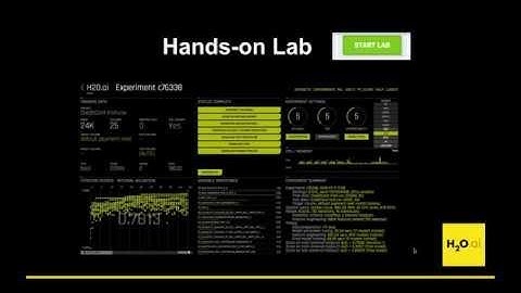 Driverless AI - Intro + Interactive Hands-on Lab