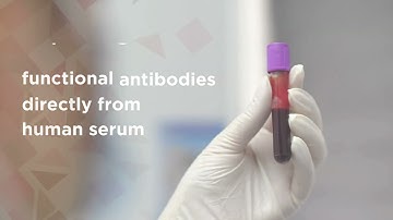 2024 Nov 6 Humanization strategies blog