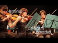 Orchestra Magister Harmoniae - ASSOCIAZIONE MUSICA INSIEME GRUGLIASCO (TO)