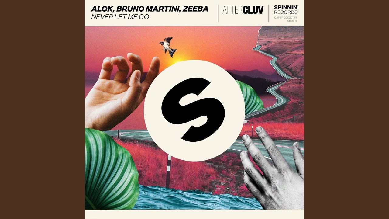 Alok hear. Alok Bruno Martini. Spinnin records Alok. Never Let me go Alok. Alok ft.Bruno Martini ft.Zeeba - never Let me go фото.