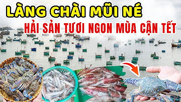 Làng Chài Mũi Né Vào Mùa Biển Êm – Hải Sản Tươi Ngon Đón Du Khách Cận Tết! 🐟
