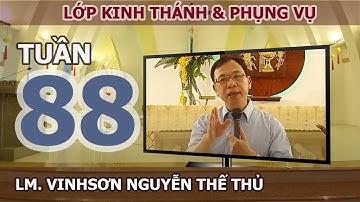 Ý NGHĨA MÀU ÁO LỄ  - TUẦN 88 - LM. VINH SƠN NGUYỄN THẾ THỦ
