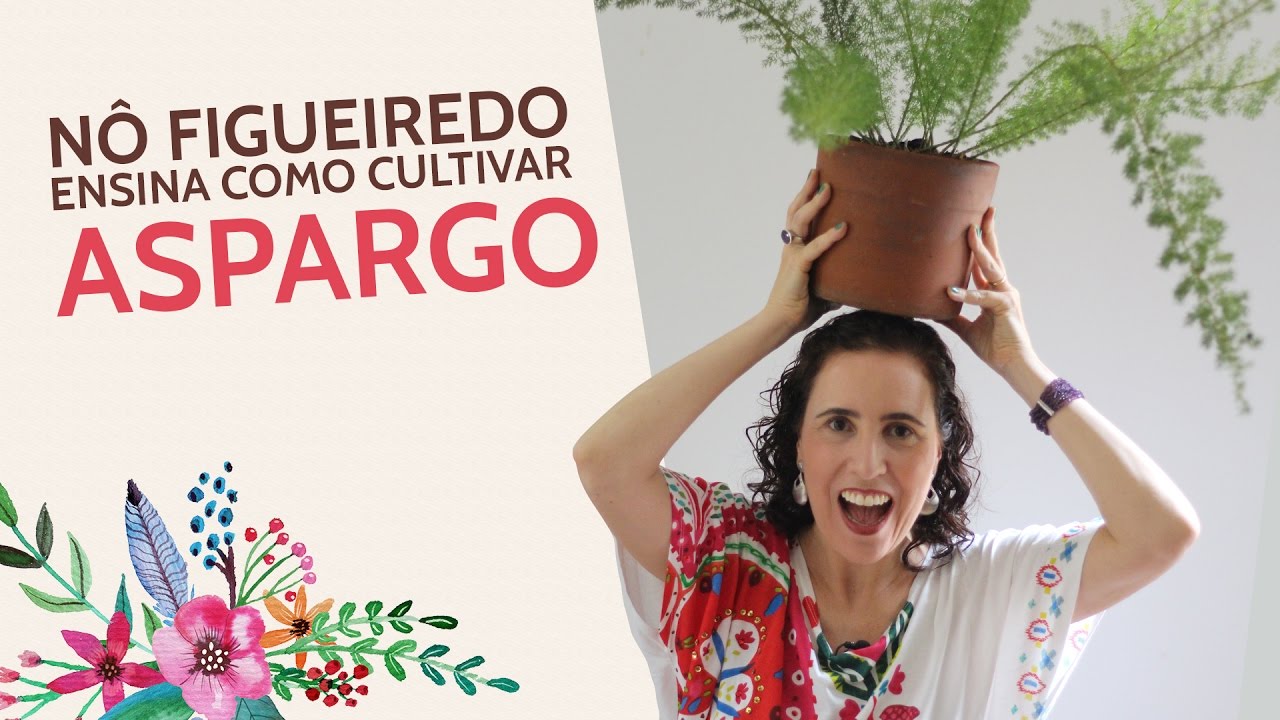 Nô Figueiredo Ensina Como Cultivar Aspargo