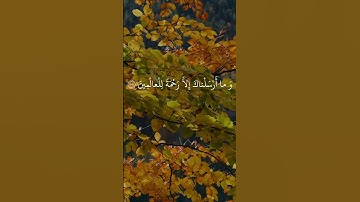 تلاوة مؤثرة - الشيخ المنشاوي يقرأ: "وما أرسلناك إلا رحمة للعالمين" 🌍📖✨