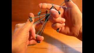 Celebrity Ten-loop double braid, part 2 Profile