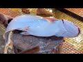 Big Pangas Fish Cutting Skills In Fish Market | Fish Cutting Skills