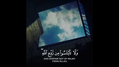 القارئ :محمد غزالي