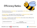 Bee business bee ratio analysis tutorial aqa buss3