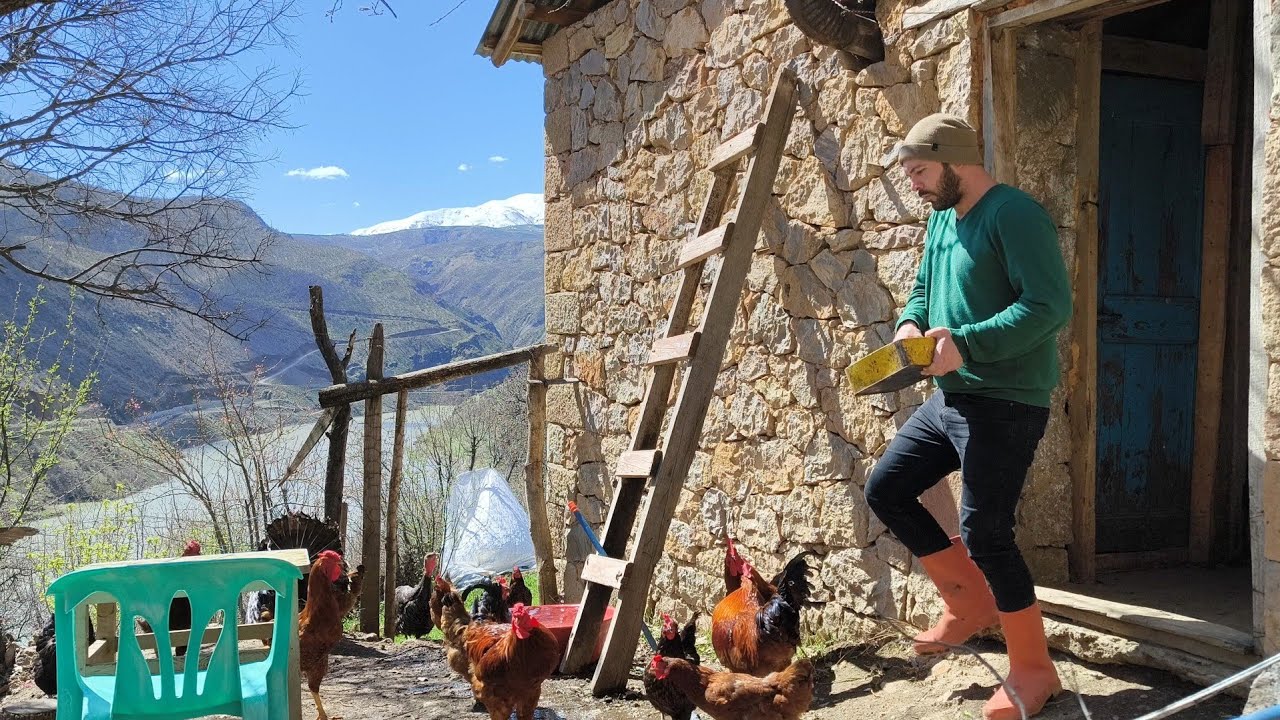 Yalnız Bir Adam, Aradığı Huzuru ve Sevgiyi Hayvanlarında Buldu / Yüksek Dağlarda Koşulsuz Sevgi.