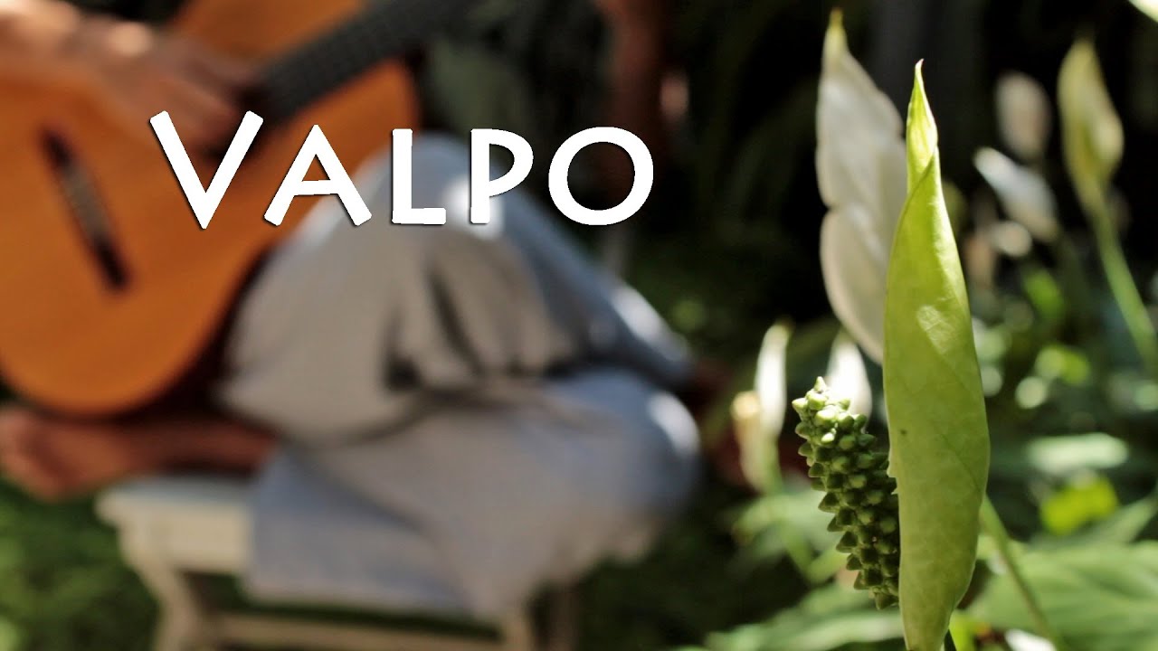 Valpo - Daniel Villa Verde