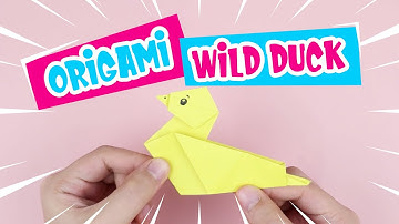 How To Make An Origami Wild Duck!