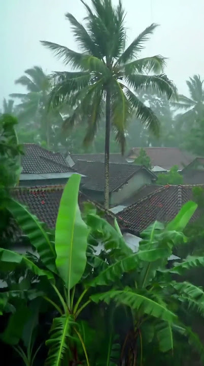 Heavy Rain in a Jungle Village | Cinematic 4K Static Shot #coastallife