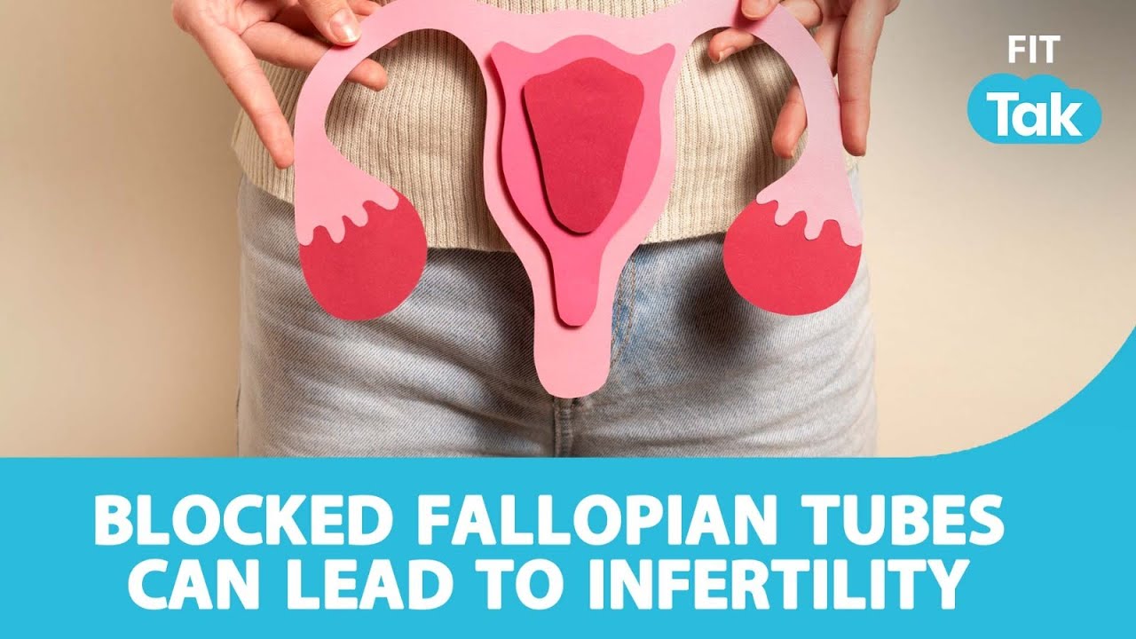 Blocked Fallopian Tubes Can Lead To Infertility Infertility Blocked Fallopian Tubes Can Lead To Infertility Infertility