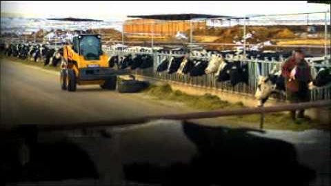 Cat® C Series Skid Steer Loaders and Multi Terrain Loaders