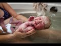 The Waterbirth of Holland | A Surprise Gender Birth Center Story