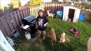 Molly Linda & Me Pre Dinner Snack