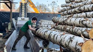 Birch Logs Feeding Wood Chips Production.