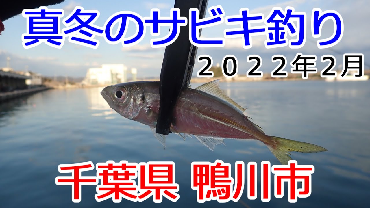 真冬のサビキ釣り 2月でもアジが釣れる 千葉県鴨川 Youtube 真冬のサビキ釣り 2月でもアジが釣れる 千葉県鴨川 Youtube