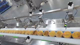 High-Speed Flow Wrapping System β Factory Acceptance Test