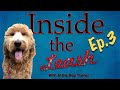 Inside The Leash Ep3 - How To Get Your Dog To Remain Calm In A Highly Distracting Environment Inside The Leash Ep3 - How To Get Your Dog To Remain Calm In A Highly Distracting Environment