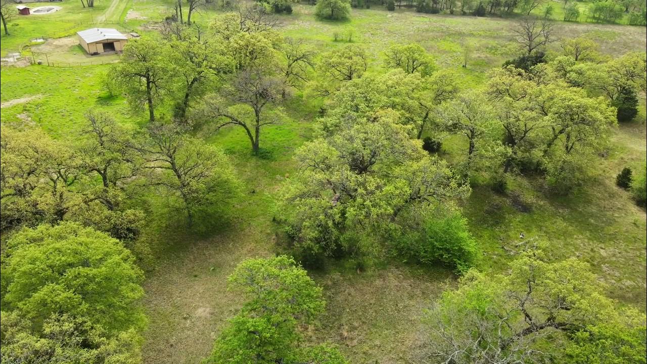 12+ Acres Miller Grove, TX YouTube