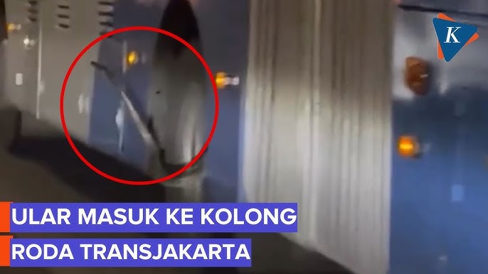 Onlayn porno rus cuckold porno