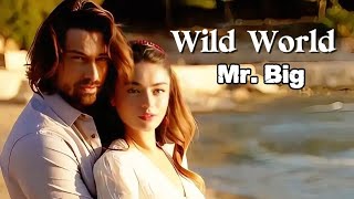 Mr. Big - Wild World (Tradução)HD @Babylove49