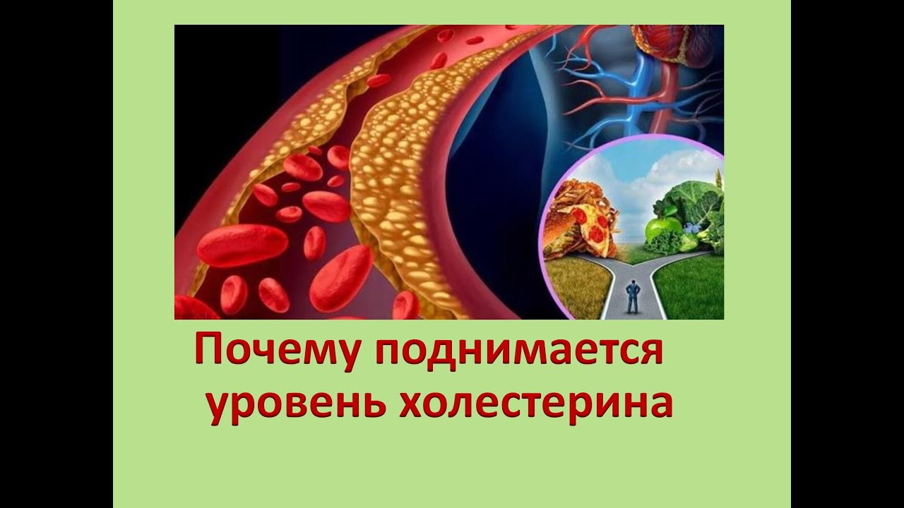 Почему поднимается уровень антифриза Почему поднимается уровень антифриза