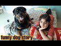 jerry follows anshu everywhere||fully trained dog||best guard dog breed|