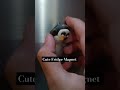 How To Make A DIY Penguin Craft