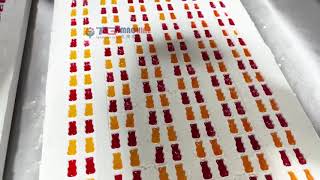 TG MACHINE Smart Starch Mogul Line for Gourmet Gummies – Custom Shapes, Low Waste!