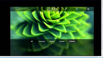 OpenScalesPlayBookApp.avi